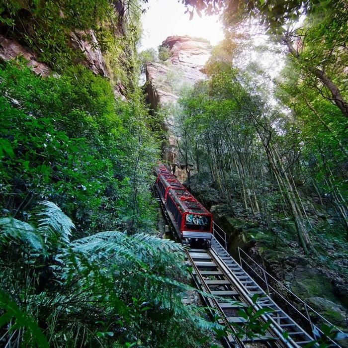 Blue Mountains Explorer Bus Lyrebird Pass - Hop On Hop Off + Scenic World