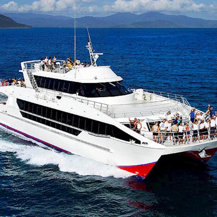 Brisbane Whale Watching Whale Watching in Moreton Bay - Premium