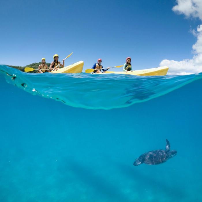 Cape Byron Kayaks Kayak with the Dolphins Tour