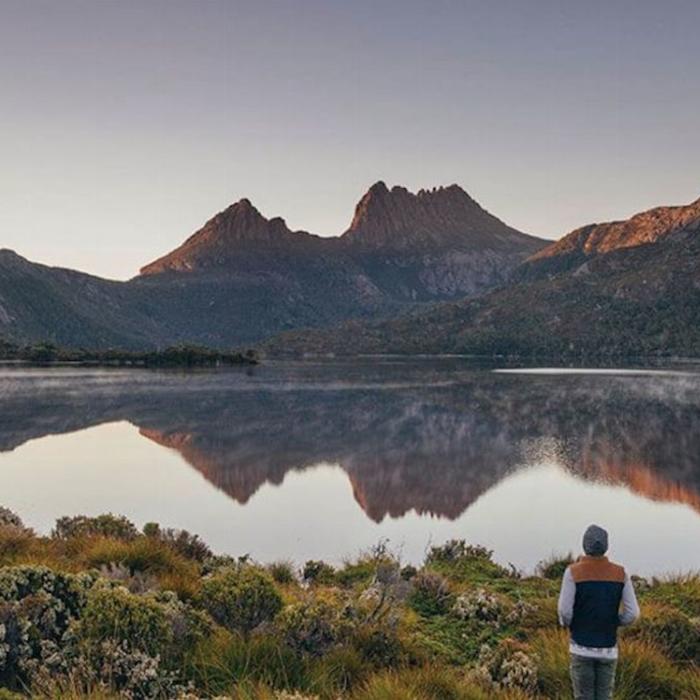 Tassie Tours Cradle Mountain Tour ex Cruise Ship