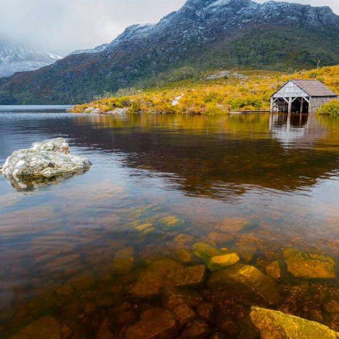 Tassie Tours Cradle Mountain Tour ex Cruise Ship