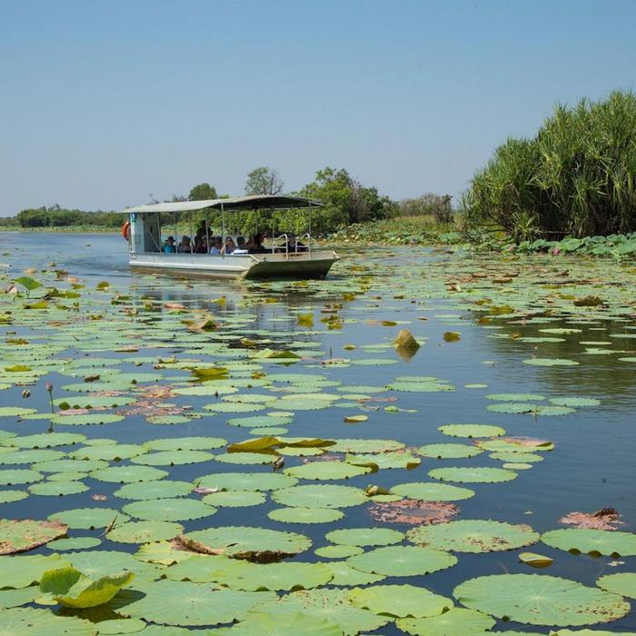 Corroboree Billabong Wetland Cruises - 1.5 hr Morning Cruise with Shuttle - 9.30am