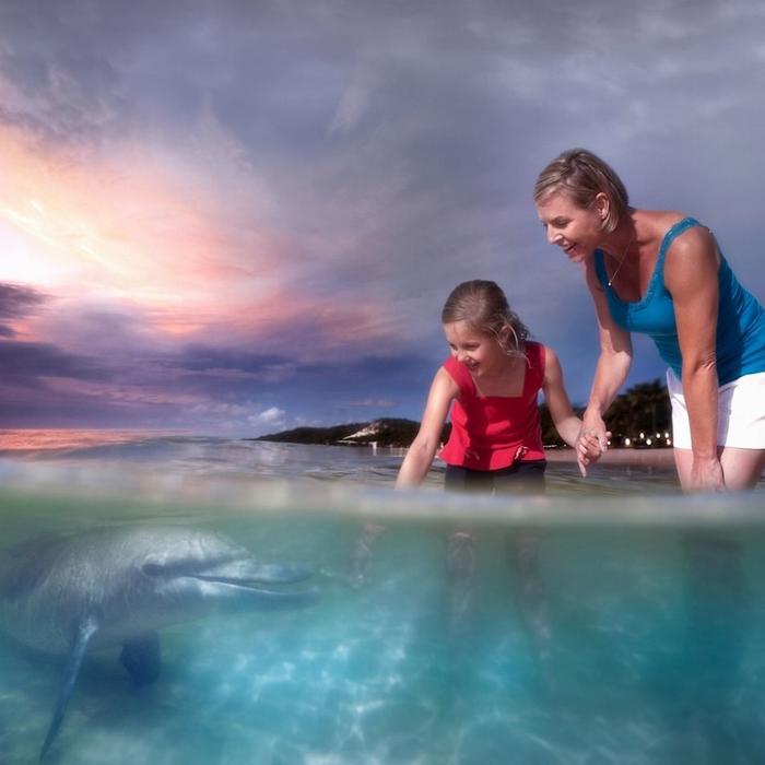 Tangalooma Island Resort - Marine Discovery Day Cruise with Dolphin Feeding