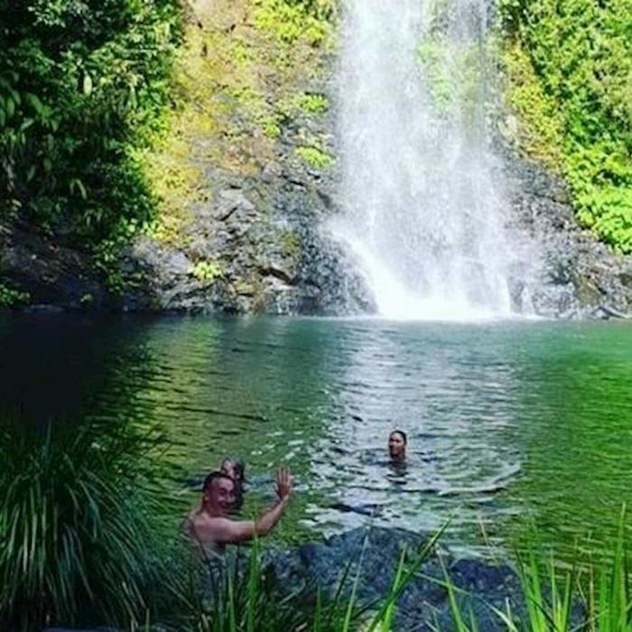 Daintree Discovery Tours Daintree River and Cassowary Falls - Half Day Tour (Morning)