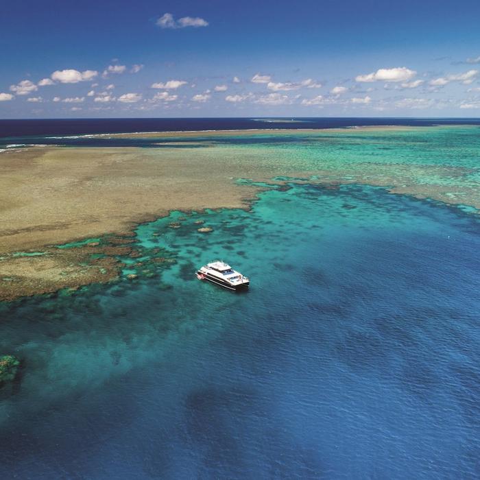 Calypso Snorkel & Dive Calypso Outer Reef Cruise - Self Drive
