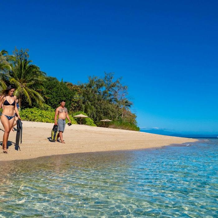 Calypso Snorkel & Dive Calypso Half Day Low Isles - Morning