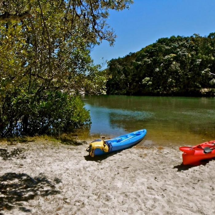 Go Sea Kayak Brunswick River Nature Kayak Tour