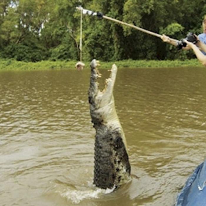 AAT Kings Jumping Crocs & Nature Adventure