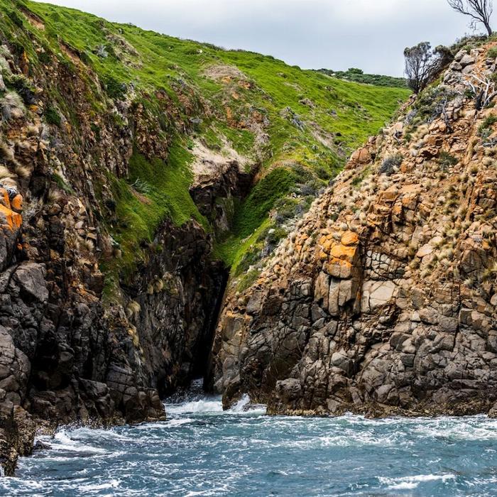 Pennicott Wilderness Journeys Iron Pot Cruise - Afternoon