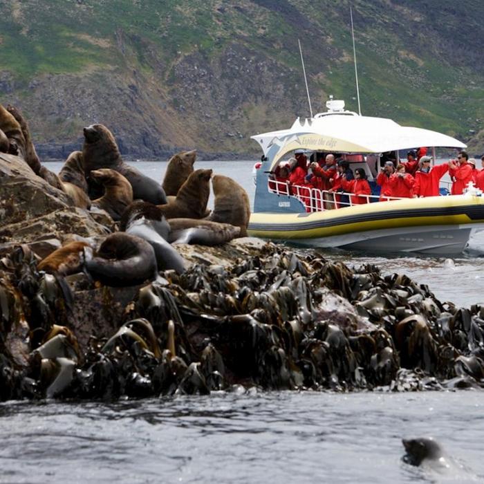 Pennicott Wilderness Journeys Bruny Island Cruise with Kettering Bus Pickup