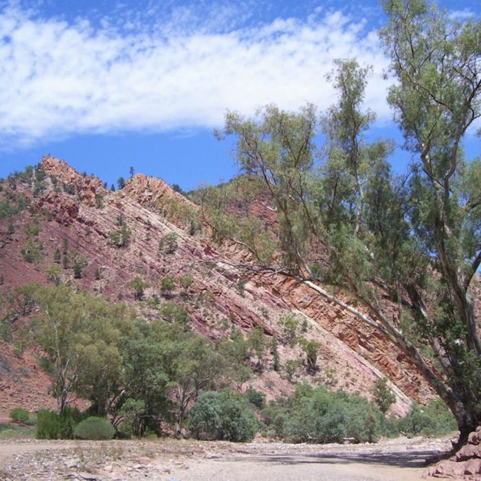 Rawnsley Park Station Bunyeroo & Brachina Gorges 4WD Tour