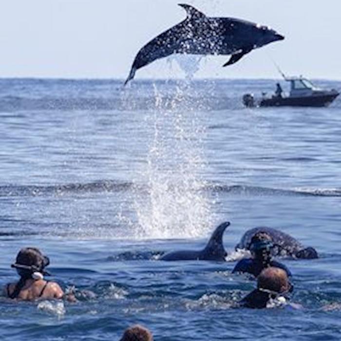 Blue Dolphin Marine Tours Fraser Island Eco-Sailing Adventure