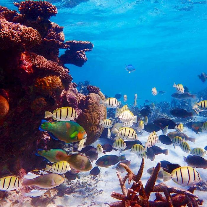 Exmouth Adventure Co Lagoon Explorer - Full Day Sea Kayak & Snorkel Tour
