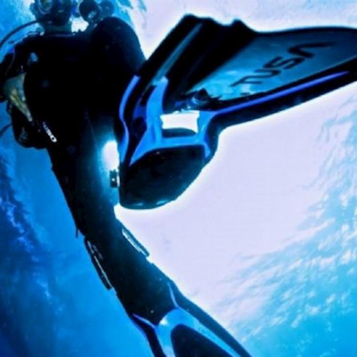 Pro Dive Sydney Open Water Weekday