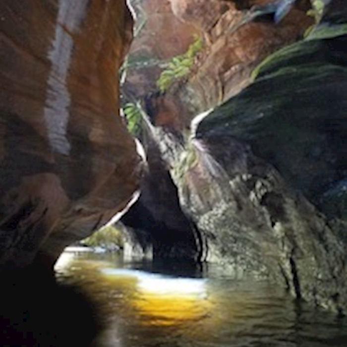 High and Wild Mountain Adventures Serendipity Canyon