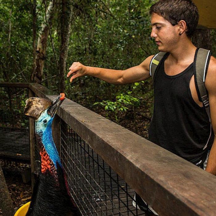 Hartley's Crocodile Adventures Zootastic with Return Transfers ex Port Douglas