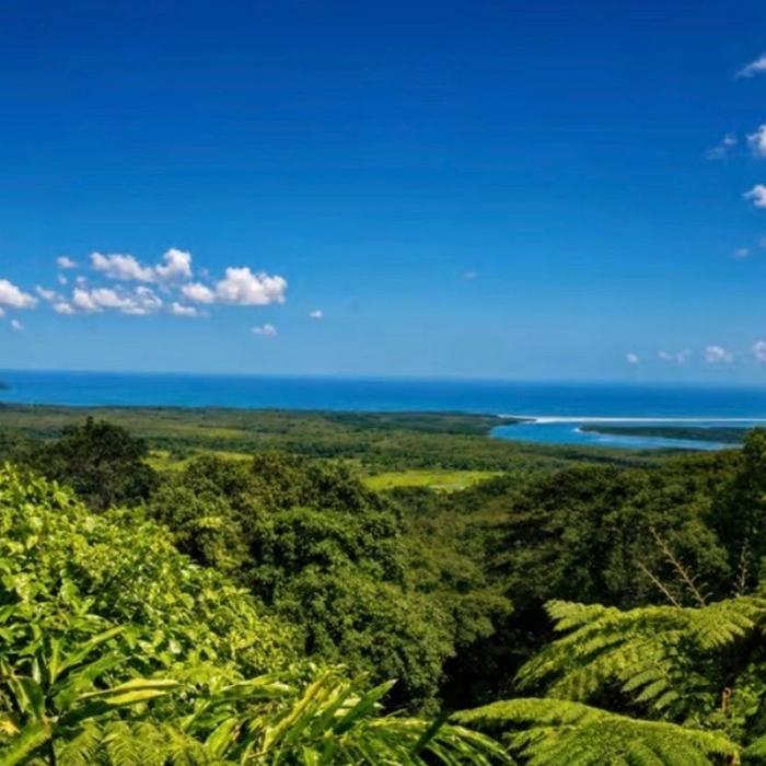 Cape Trib Connections Daintree, Cape Tribulation Beach and Mossman Gorge Day Tour
