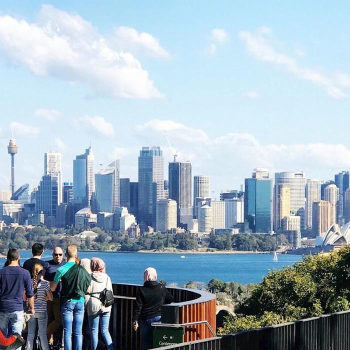 Captain Cook Cruises Sydney: Taronga Zoo Entry & Return Ferry from Circular Quay