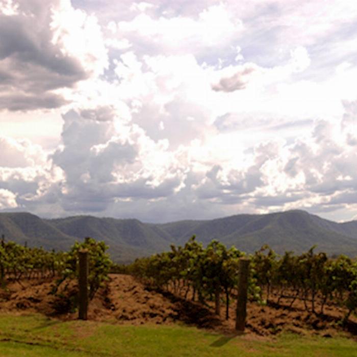 Boutique Tours Boutique Hunter Valley Wine Tasting Tour