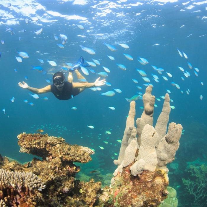 Coral Bay Ecotours Coral Viewing and Snorkeling