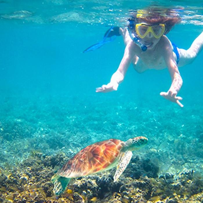 Bushwacker Eco Tours Moreton Island 2-Day 4WD Tour (Glamping)