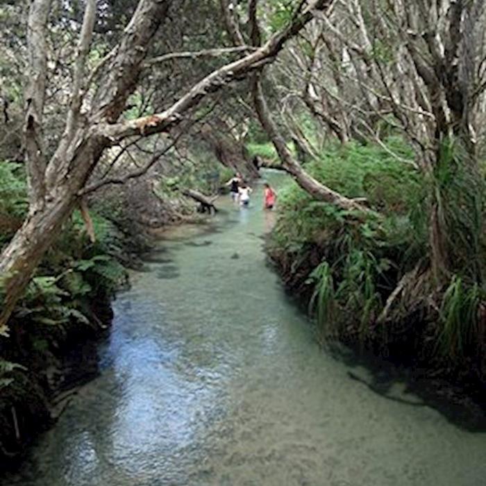 Bushwacker Eco Tours Fraser Island Overnight 4WD Safari Tour