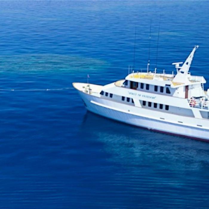 Spirit of Freedom Cod Hole & Coral Sea 7 Night Adventure