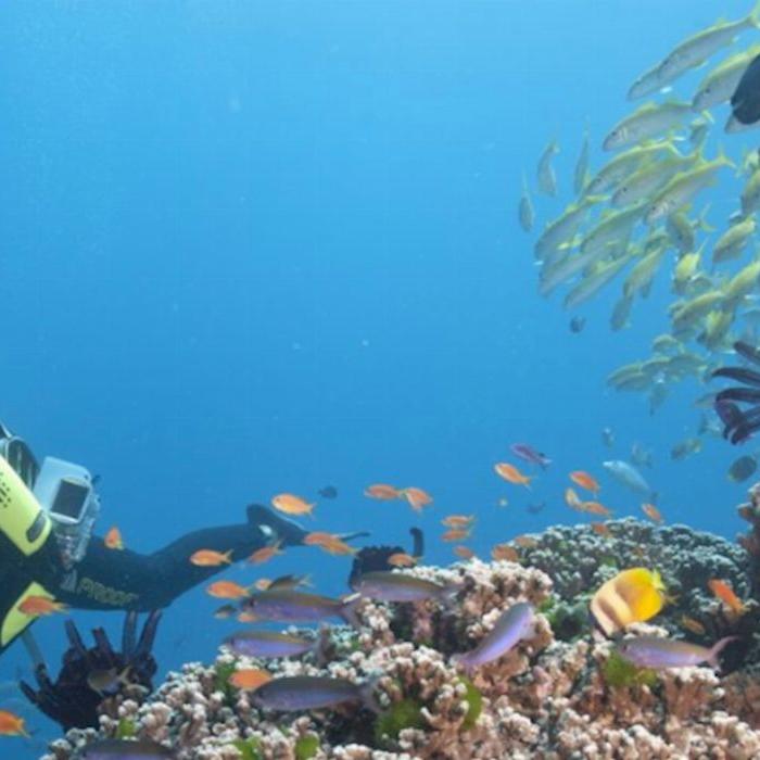 Spirit of Freedom Cod Hole & Coral Sea 7 Night Adventure