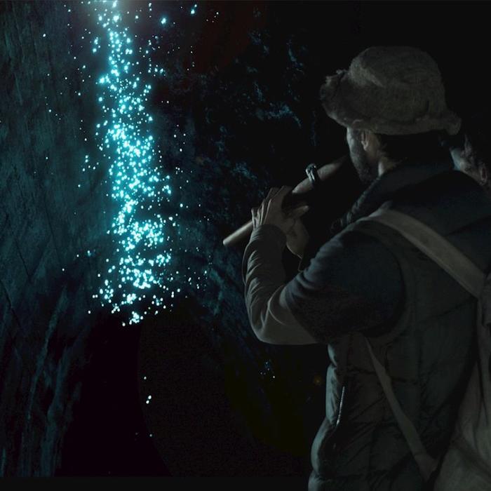 Rise Up Hinterland Waterfall & Glow-worm Experience