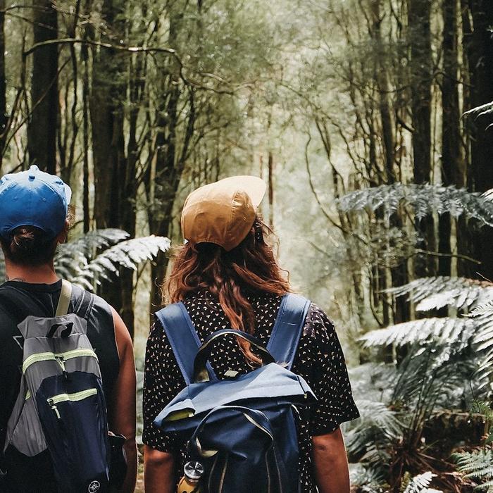 Hike & Seek Small Group - 12 Apostles, Great Otways & Great Ocean Road Day Tour