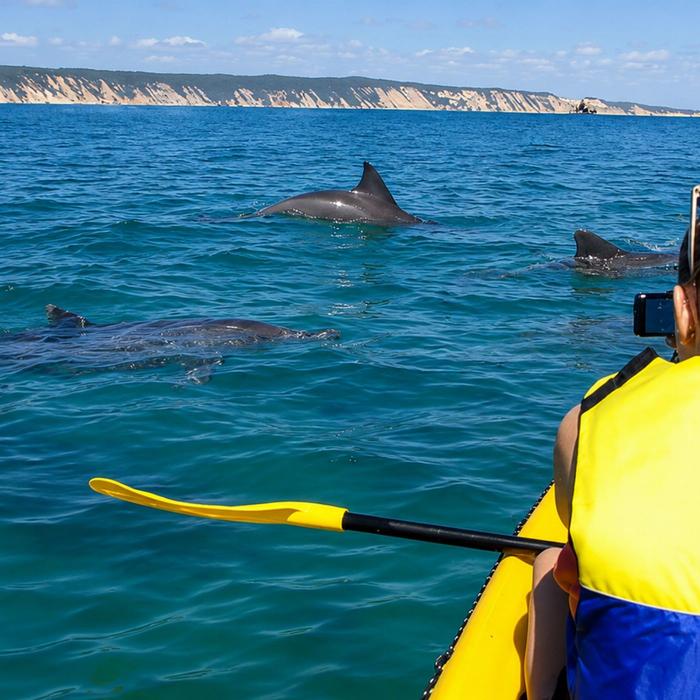 Epic Ocean Adventures Noosa: Epic Dolphin Ocean Kayak Tour & Beach 4X4 Adventure
