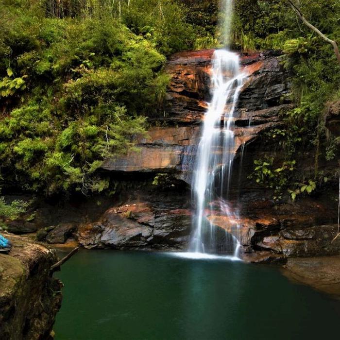 Wildscape Adventures Blue Mountains Night Adventure & Guided Glow Worms Tour Wildlife Spotlighting