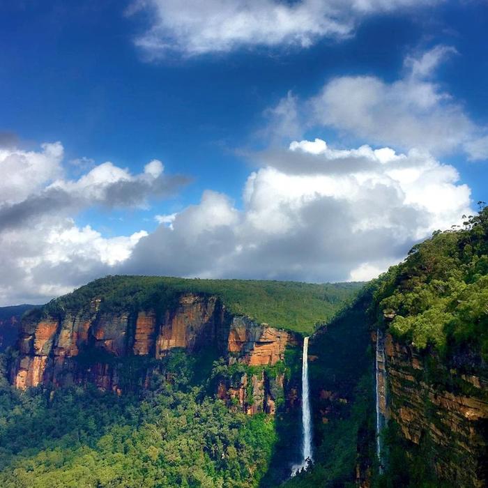 Wildscape Adventures Blue Mountains Night Adventure & Guided Glow Worms Tour Wildlife Spotlighting