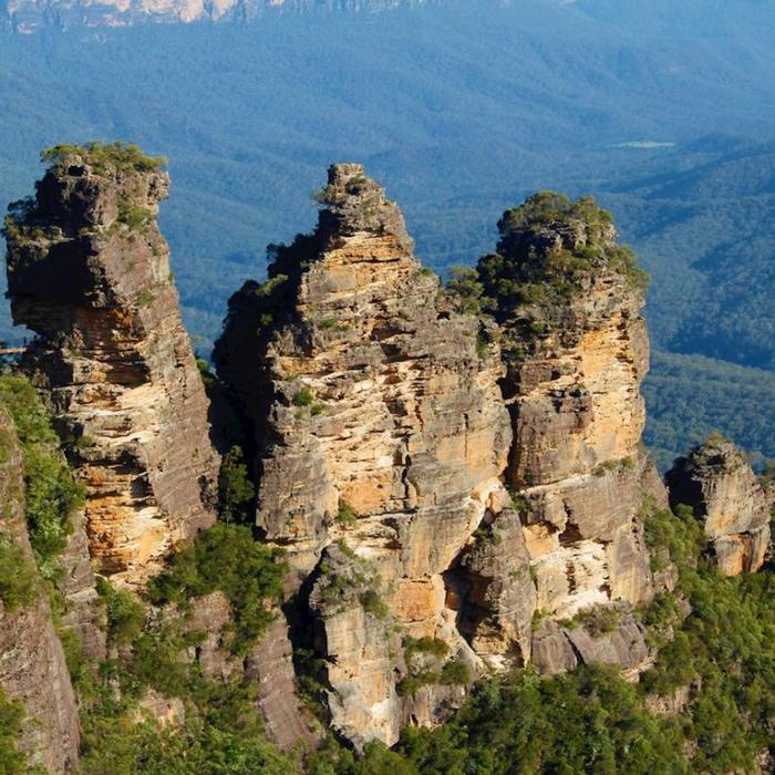 Wildscape Adventures Blue Mountains Night Adventure & Guided Glow Worms Tour Wildlife Spotlighting