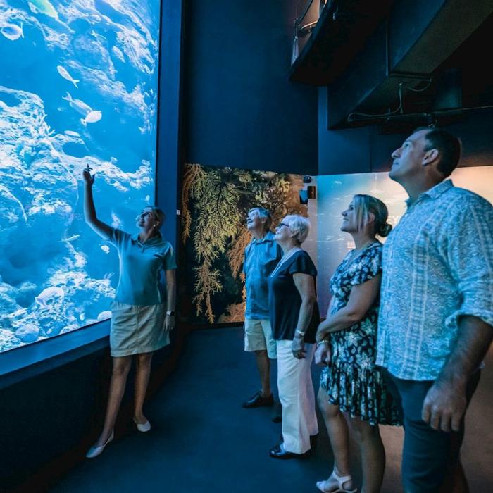 Cairns Aquarium Aquarium by Twilight Tour & 3 Course Dinner