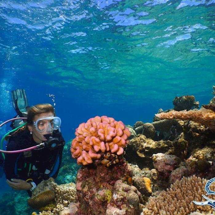Quicksilver Dive PADI 4 Day Learn to Dive