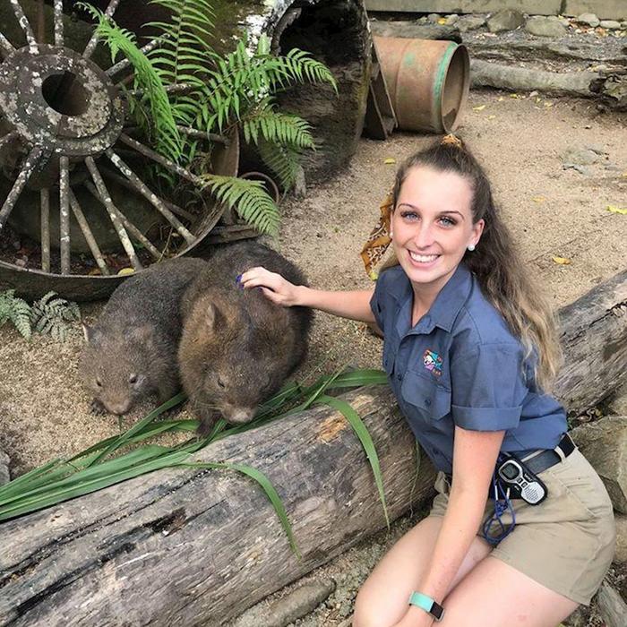 Kuranda Koala Gardens Kuranda Wildlife Experience Package