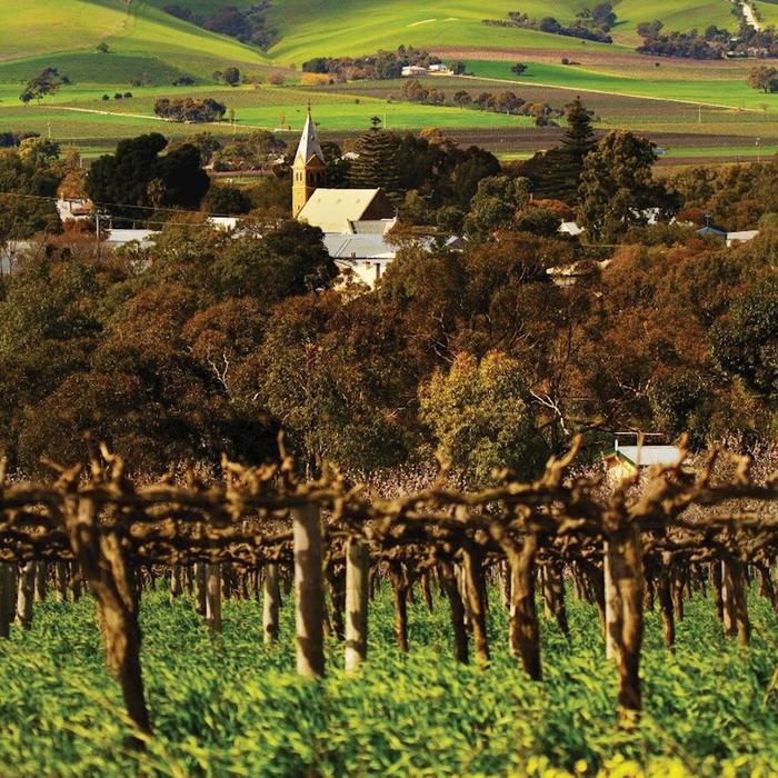 TrailHopper Tours Barossa Valley Hop-On Hop-Off Tour - In Region Pickup