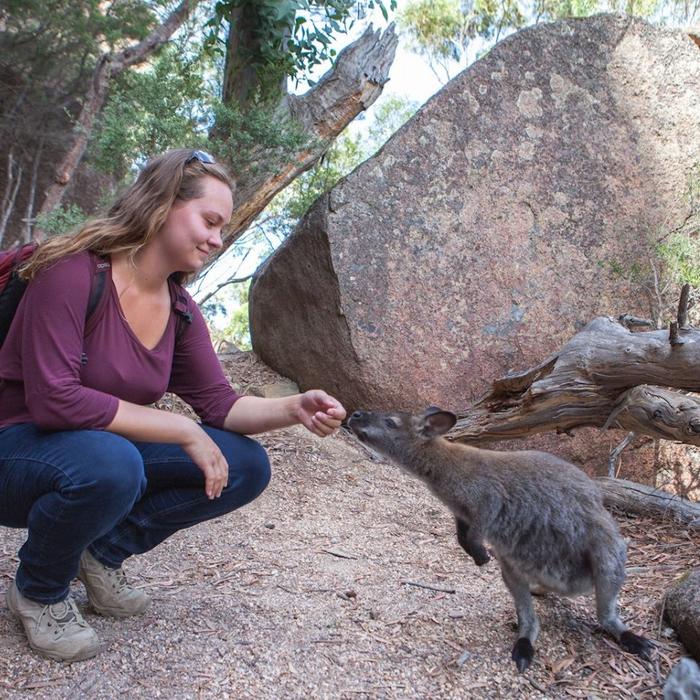 Tours Tasmania Wineglass Bay Beach Hike Active Day Tour