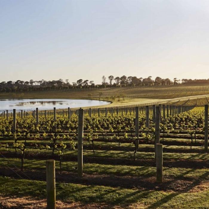Explore Australia Mornington Peninsula Food & Wine Taste Trail