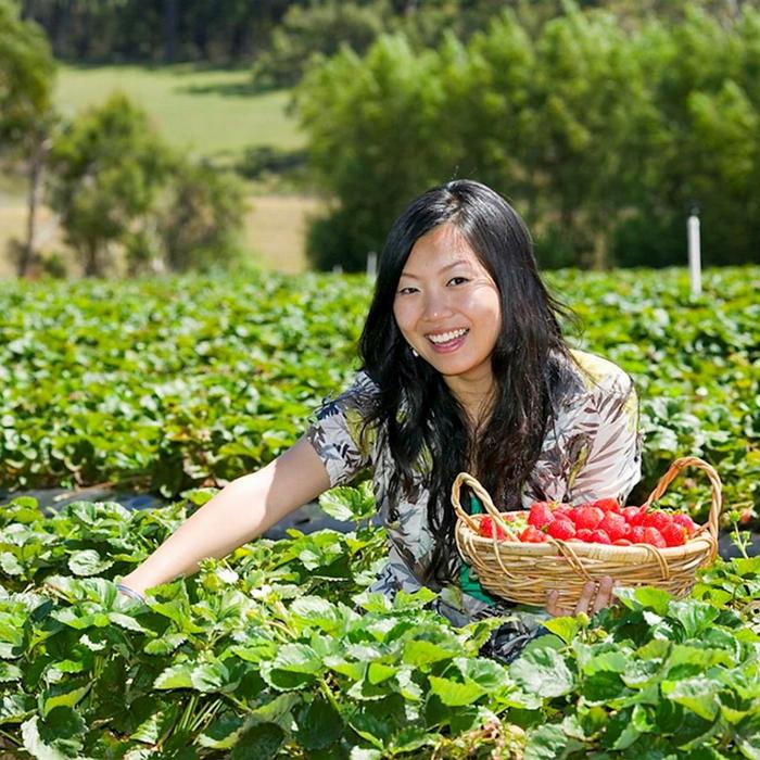 Explore Australia Mornington Peninsula Sightseeing with lunch