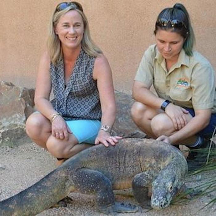 Hartley's Crocodile Adventures Reptastic 5 (No transfers)