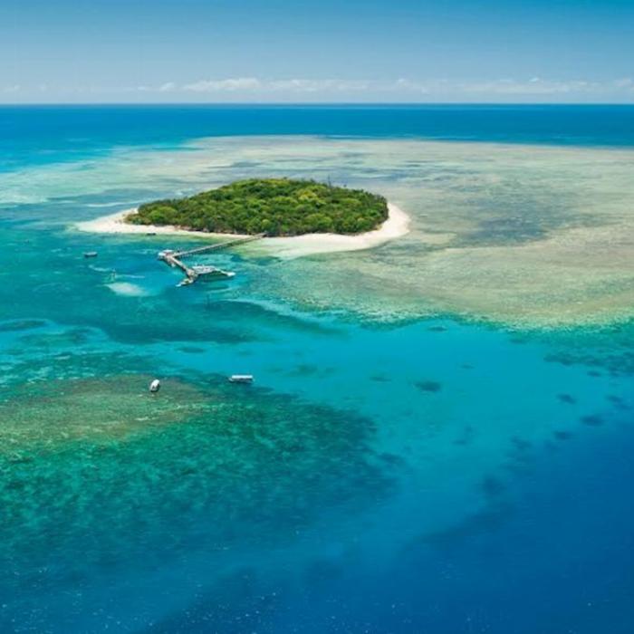 Big Cat Green Island Reef Cruises Green Island Full Day Tour (Late Start)