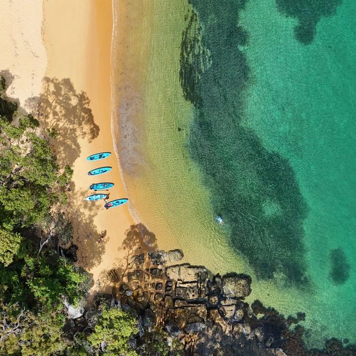 Manly Sailing Guided Kayak Tour