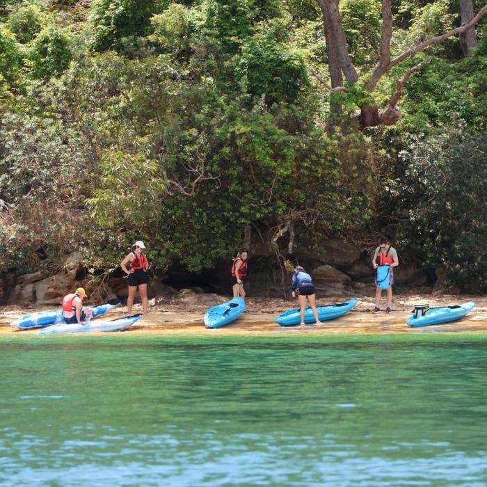 Manly Sailing Guided Kayak Tour