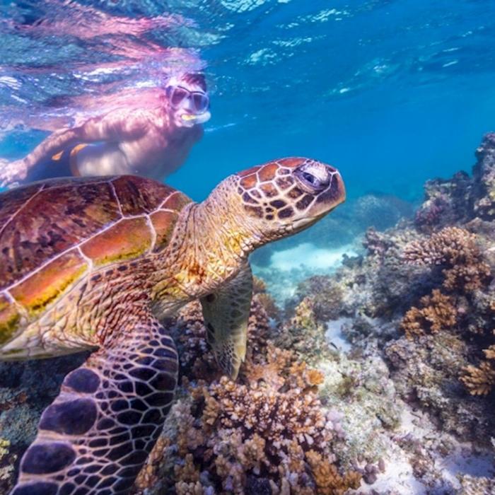 Autopia Tours 'Exmouth Explorer' Perth to Exmouth Return (Double/Twin Share)