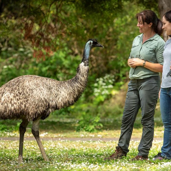 Autopia Tours Melbourne to Adelaide 3 Day (Private Double/Twin)