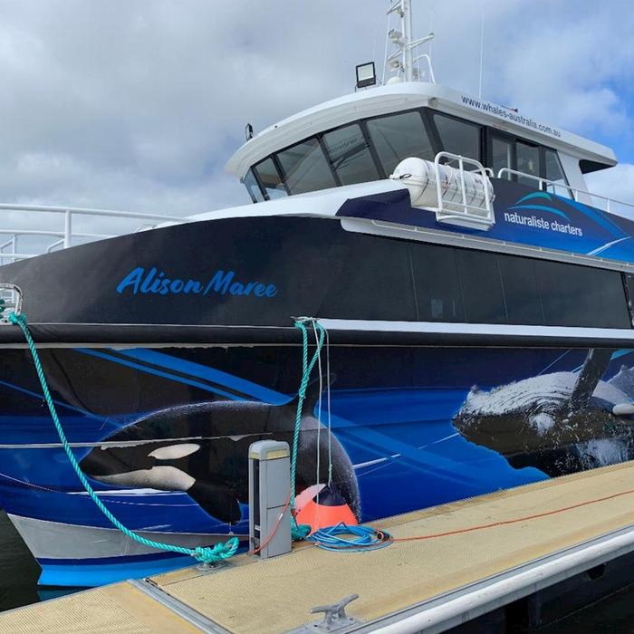 Naturaliste Charters Dunsborough Whale Watching Eco Tours