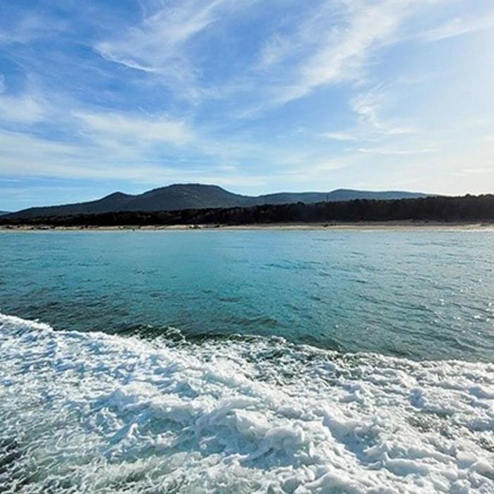 Wildlife Coast Cruises Wilsons Prom Whale Cruise
