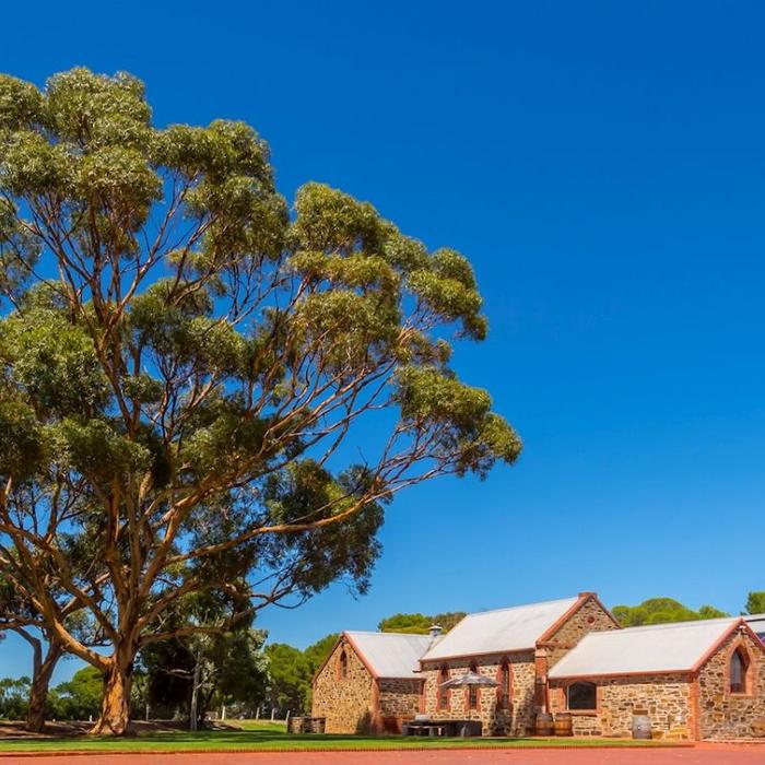 See Adelaide & Beyond McLaren Vale & Glenelg Afternoon Tour